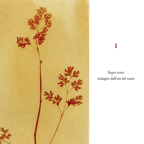 La via del rame - Definitivo-centrato.indd