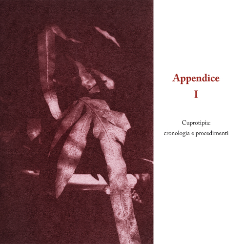 La via del rame - Definitivo-centrato.indd