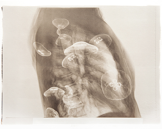 Condizioni interiori (Aurelia)