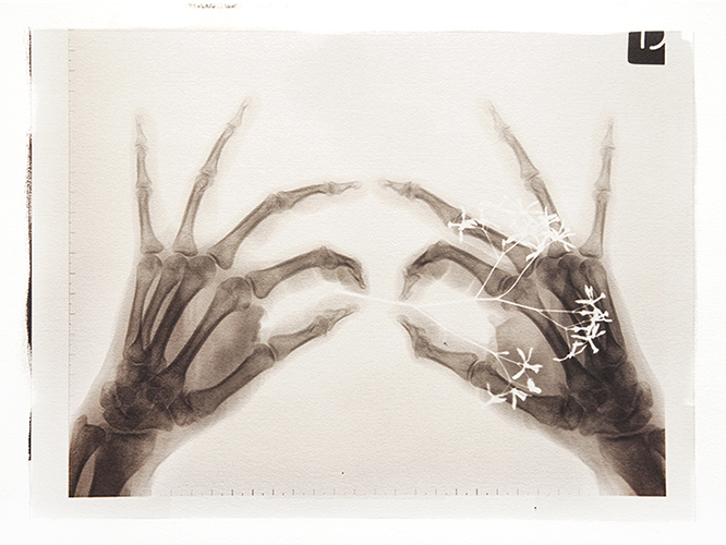 Condizioni interiori (A trazione)