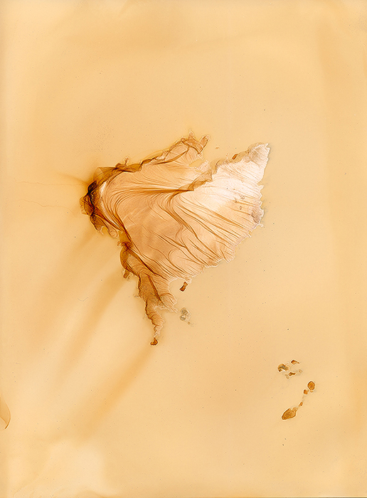 Western Collins Islands