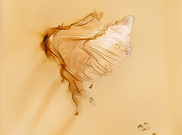 Dimmi Cosa Sono Le Nuvole